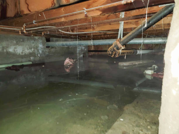 Best 24-hour water damage restoration  in Portales, NM