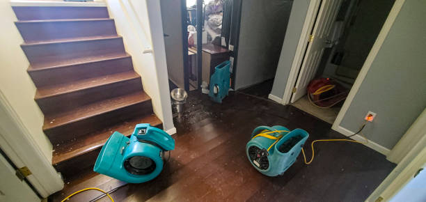Best Fire Damage Restoration  in Portales, NM