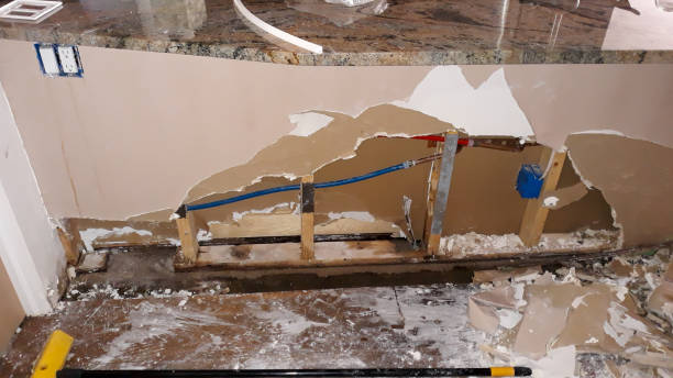 Reliable Portales, NM Water damage restoration Solutions