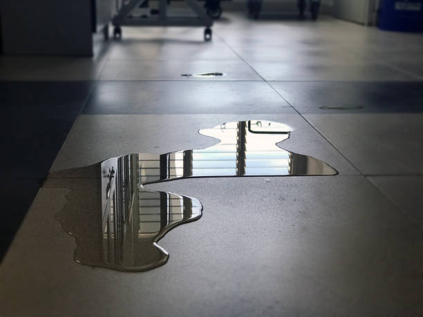 Best Water damage repair service  in Portales, NM